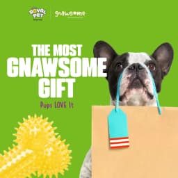 Gnawsome Dog Toys - 6.5" Spiky Squeaker Bone - Medium - Dental & Gum Wellness - Stimulating Fun - Hidden Squeaker - Durable for Heavy Chewers - 100% - Thumbnail 9
