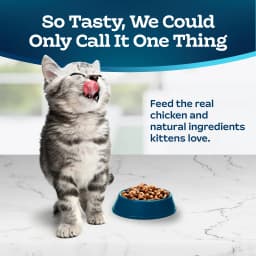 Blue Buffalo Tastefuls Natural Kitten Dry Cat Food, Chicken and Brown Rice Recipe, 5-lb. Bag - Thumbnail 3