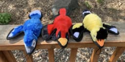 SteelDog Ruffian Blue Jay Plush Dog Toy, Squeaker Dog Toy, Tennis Ball Inside, Crinkles for Interactive Play - Thumbnail 3