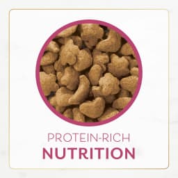 Purina Fancy Feast Dry Cat Food Filet Mignon Flavor with Seafood and Shrimp, 3 lb Bag - Thumbnail 9