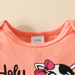 Dagaeig 3 Months Baby Girl Clothes Long Sleeve Romper Set Floral Fall Outfits Cute Baby Clothes Girl(Orange,0-3 Months) - Thumbnail 6
