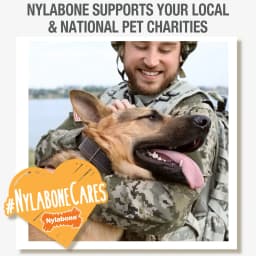Nylabone Nubz Meaty Center Dog Treats for Large Dogs, Beef Flavor Dog Bones, Large - 30+ lbs., 2 Count - Thumbnail 8