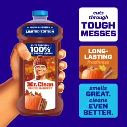 Mr. Clean All Purpose Cleaner, Floor Cleaner, Mop Soap, Cleaning Liquid, Spiced Harvest, Pumpkin, 41 fl oz - Thumbnail 2