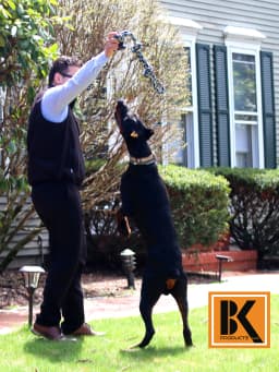Dog Toys for Aggressive Chewers - Set of 2 XL Dog Rope Toys - Thumbnail 2