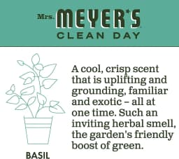 Mrs. Meyer's Dish Soap Variety, 1 Dish Soap, 1 Dish Soap Refill, Basil, 1 CT - Thumbnail 6