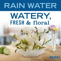 Mrs. Meyer’s Clean Day Multi-Surface Everyday Cleaner, Rain Water Scent, 16 Fl Oz - Thumbnail 7
