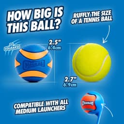 Chuckit! Sonic Ultra Squeaker Ball & Super Crunch Ball Fetch Dog Toy, Medium 2.5" for Dogs 20 to 60 lb, Blue, Pack - Thumbnail 4