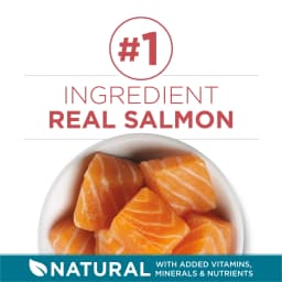 Purina ONE Tender Selects Blend With Real Salmon Digestive Care Natural Dry Cat Food, 7 lb, 4 Pack - Thumbnail 4