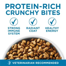 Purina ONE High Protein, Natural Senior Dry Cat Food, Indoor Advantage Senior+, 7 lb Bag - Thumbnail 3