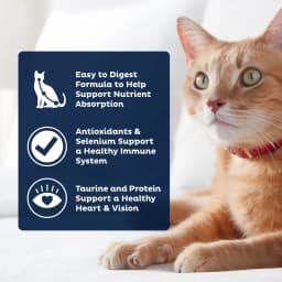9Lives PLUS High Protein Dry Cat Food, 15.5 lb. Bag - Thumbnail 4