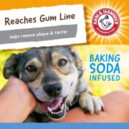 Arm & Hammer Nubbies TriOBone Durable Dental Dog Chew Toy - Thumbnail 4