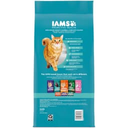 Iams Proactive Health Salmon Dry Cat Food, 7 Lb Bag - Thumbnail 2