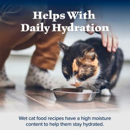Blue Buffalo Wilderness High Protein Adult Wet Cat Food Pate, Variety Pack, 3oz Cans 12 CT - Thumbnail 7