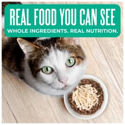 Tiki Cat Born Carnivore Indoor Health Dry Cat Food, Trout & Menhaden Fish Meal, 3 lbs. Bag - Thumbnail 2