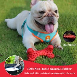 Valr Dog Chew Toys for Aggressive Chewers Large Breed,Rubber Dog Bones - Thumbnail 7