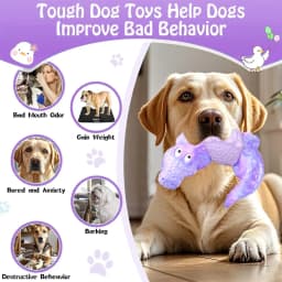 Pet Deluxe Dog Toys for Super Aggresive Chewers Indestructible Interactive Tough Dog Chew Crocodile Toy Heavy Duty Durable Toys Teeth Cleaning - Thumbnail 4