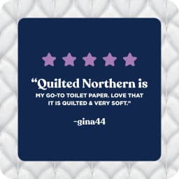 Quilted Northern Ultra Plush 3-Ply Toilet Paper, 12 Mega Rolls, 255 Sheets per Roll - Thumbnail 9