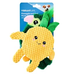 Vibrant Life Summer Flattie Bird and Pineapple Dog Toys with Crinkle, Chew Level 2, 2 Pack - Thumbnail 4