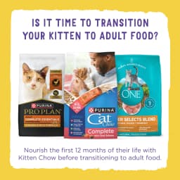 Purina Kitten Chow Naturals Chicken Flavor Dry Cat Food for Kittens, 6.3 lb. Bag, 4 Pack - Thumbnail 9