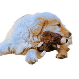 Pet Dog Animals Chewing Toys Durable Non-toxic Stuffed Cashmere Funny Toys Pets Supply - Thumbnail 4