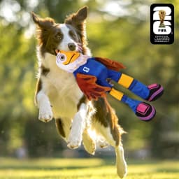 FIFA World Cup 2026 Clutch Eagle Mascot Plush and Crinkle Dog Toy - Thumbnail 3