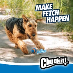 Chuckit! Sonic Ultra Squeaker Ball & Super Crunch Ball Fetch Dog Toy, Medium 2.5" for Dogs 20 to 60 lb, Blue, Pack - Thumbnail 7