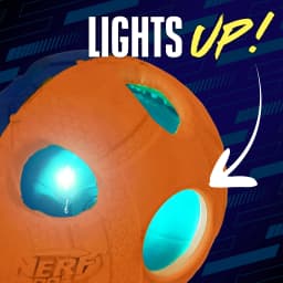 Nerf Dog LED Light Up Squeak Bash Ball Dog Toy, Blue/Orange, 3.5 inch - Thumbnail 2