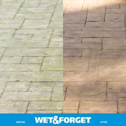 Wet & Forget Outdoor Moss, Mold, Mildew, and Algae Stain Remover Concentrate, 128 oz - Thumbnail 5