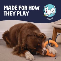 goDog Looper Puzzle Dog Toy, Orange, One Size - Thumbnail 5