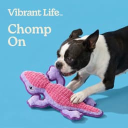 Vibrant Life Purple Lizard Plush Dog Toy with Squeaker, Chew Level 4 - Thumbnail 4