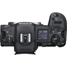 Canon EOS R5 Mirrorless Camera with RF 24-50mm f/4.5-6.3 IS STM And EF 75-300mm f/4-5.6 III & 420-800mm f/8 Lens + 128GB Memory + Extra Battery - Thumbnail 3