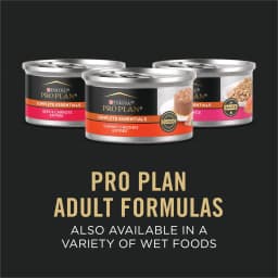 Purina Pro Plan High Protein Cat Food With Probiotics for Cats, Salmon and Rice Formula, 3.5 lb. Bag - Thumbnail 7