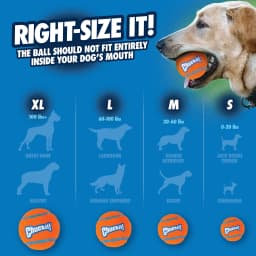 Chuckit! Floating Pelota de Tenis Flotante para Buscar Juguete para Perro, Grande (3") para Perros de 60-100 lb, Paquete de 2, Naranja - Thumbnail 8