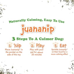 Doggijuana Tuffer Chewer Plush Dog Toy with Juananip Catnip, Squeaky Refillable Toy, Pepperoni Pizza - Thumbnail 4