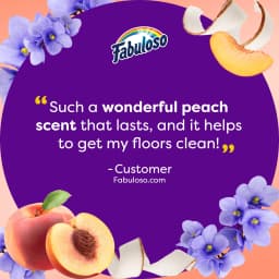 (3 pack) Fabuloso 2X Multi-Purpose Cleaner, No Rinse Floor Cleaner, Peach Scent, 16.9 fl oz - Thumbnail 10
