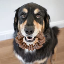 Nylabone Strong Chew Textured Ring Dog Toy, Dog Chew Toy, Made with Real Beef & Chicken Flavor, X-Large, 1 Count - Thumbnail 5