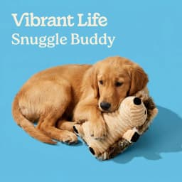 (3 pack) Vibrant Life Brown Hedgehog Plush Dog Toy with Squeaker, Chew Level 2 - Thumbnail 5