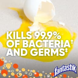 Fantastik Disinfectant All-Purpose Cleaner for Kitchen, Countertop, and Appliances, Fresh Scent, 32 oz - Thumbnail 4