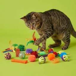 Vibrant Life Value Pack Cat Toys, 24 Pieces - Thumbnail 2