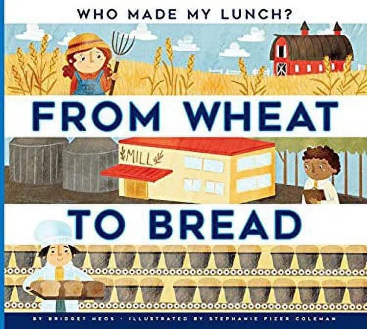 Pre-Owned From Wheat to Bread (Library Binding) 1681511185 9781681511184