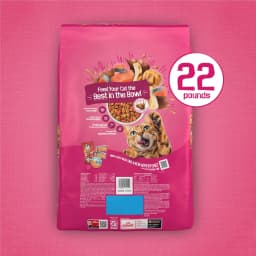 Purina Friskies Gravy Swirlers Dry Cat Food Flavors of Chicken, Salmon and Gravy, 22 lb Bag - Thumbnail 6