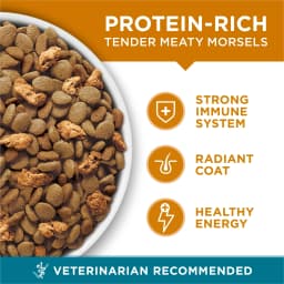 Purina ONE Tender Select Blends Dry Cat Food, Chicken, 22 lb Bag - Thumbnail 3