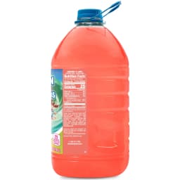 Hawaiian Punch Rainbow Sherbert Bash Juice, 1 Gal, Bottle - Thumbnail 6