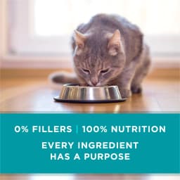 Purina ONE, Grain Free Natural Variety Pack, Wet Cat Food Pate, 3 oz Cans (12 Count) - Thumbnail 8