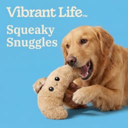 Vibrant Life Brown Croissant Plush Dog Toy with Squeaker, Chew Level 1 - Thumbnail 4