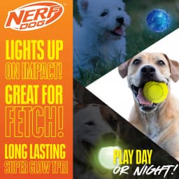 Nerf Dog Launcher Ball 3-Pack with 1 Solid Tuff, 1 Glow Ball & 1 LED Ball, 2.5 inch - Thumbnail 3