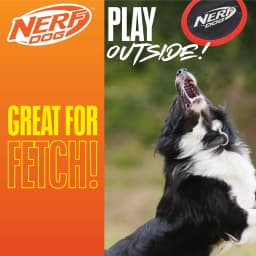 Nerf Dog Red Nylon Flyer Dog Toy, 10.5 inch - Thumbnail 3