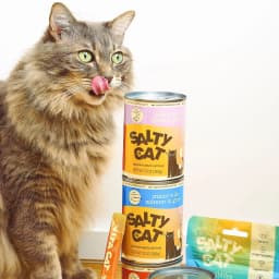 (6 pack) Salty Cat Chicken Dinner Mince in Gravy Wet Cat Food, 13 oz. Can - Thumbnail 8