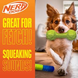 Nerf Dog TPR Squeak Bars Variety, 2 Pack - Thumbnail 3