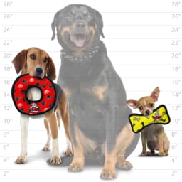 TUFFY Jr Bone Yellow and Ring Red Paw Durable Plush Squeaky Dog Toy, 2 Pack - Thumbnail 7